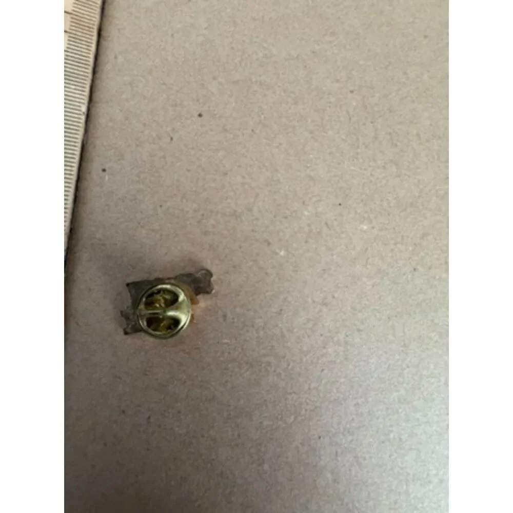 PHS Pride lapel pin